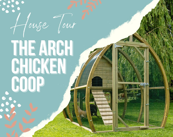 Tour the Framebow Arch Chicken Coop