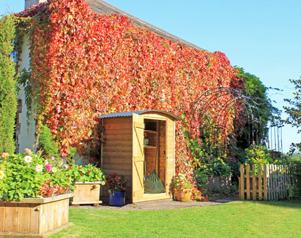 Dorset Log Stores FAQs