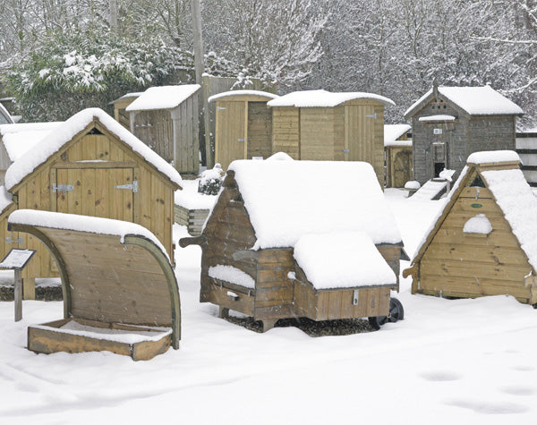 Ask Phill 23 - Should I paint my chicken house?