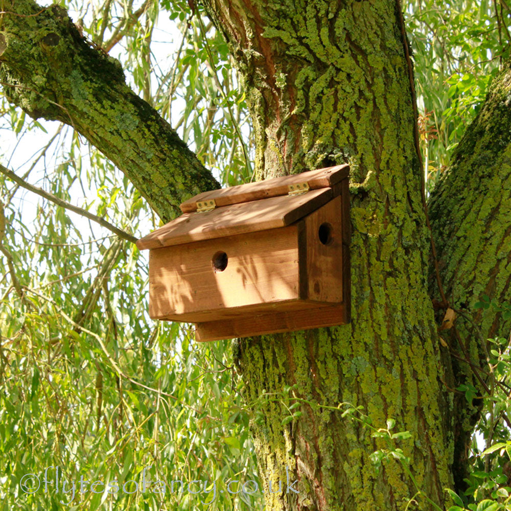 Sparrow Terrace Nesting Box