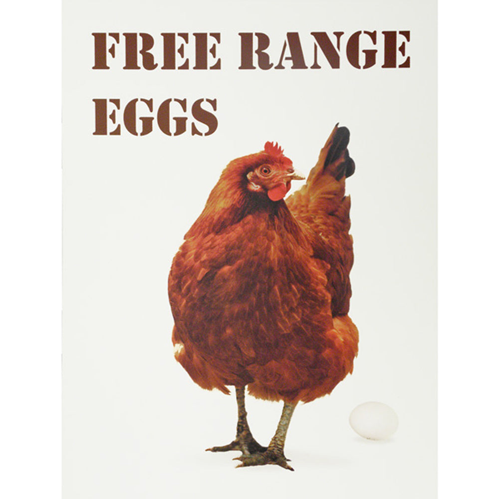 Eggs for Sale Signs