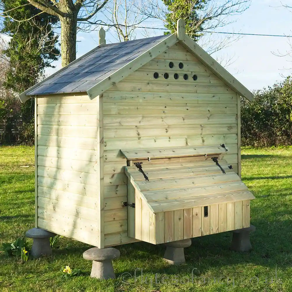 Rear Nest Box of Granary 25 Hen House