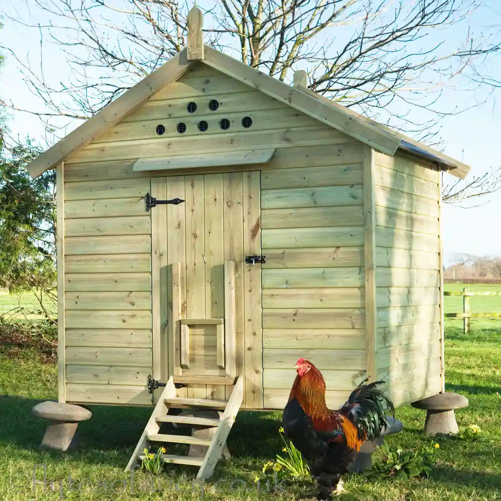 Granary 25 Hen House with Timber Roof
