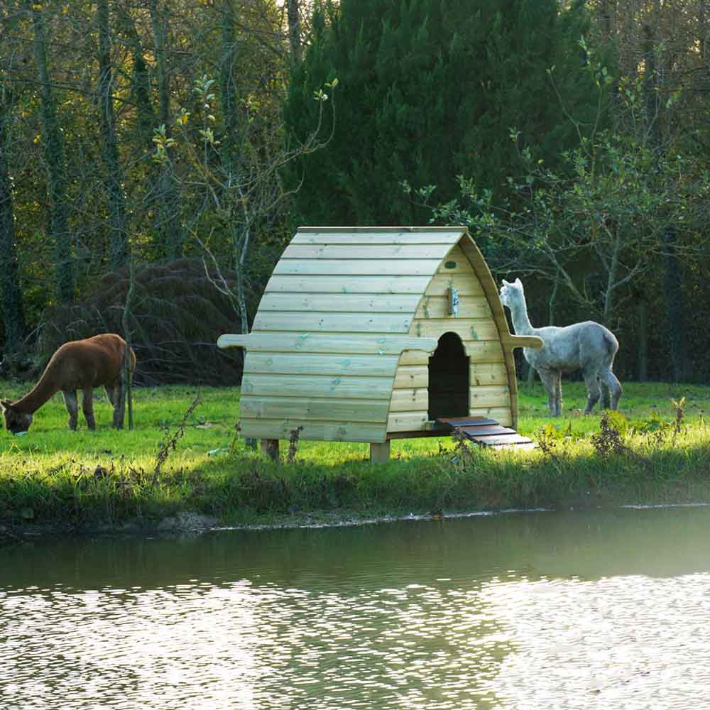 Archie The Duck House
