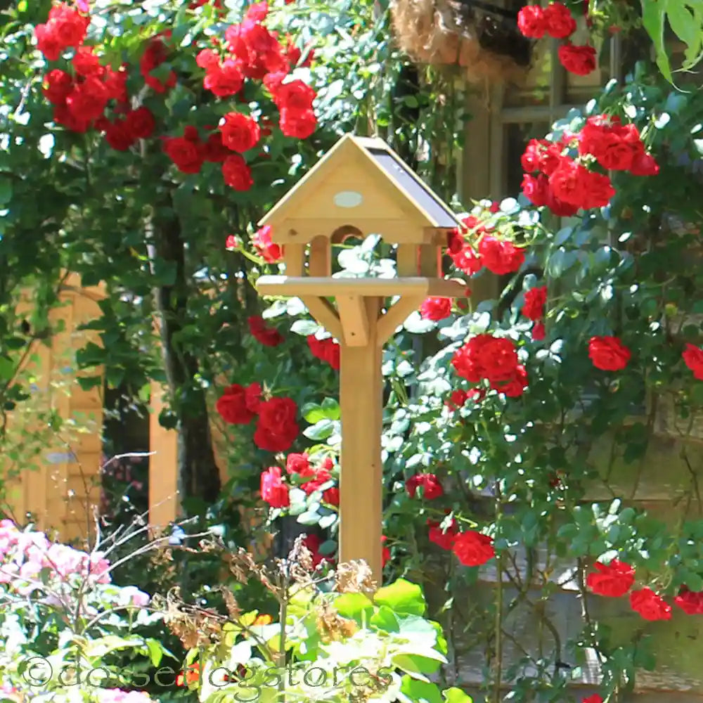 Ascot Bird Table in the rose garden
