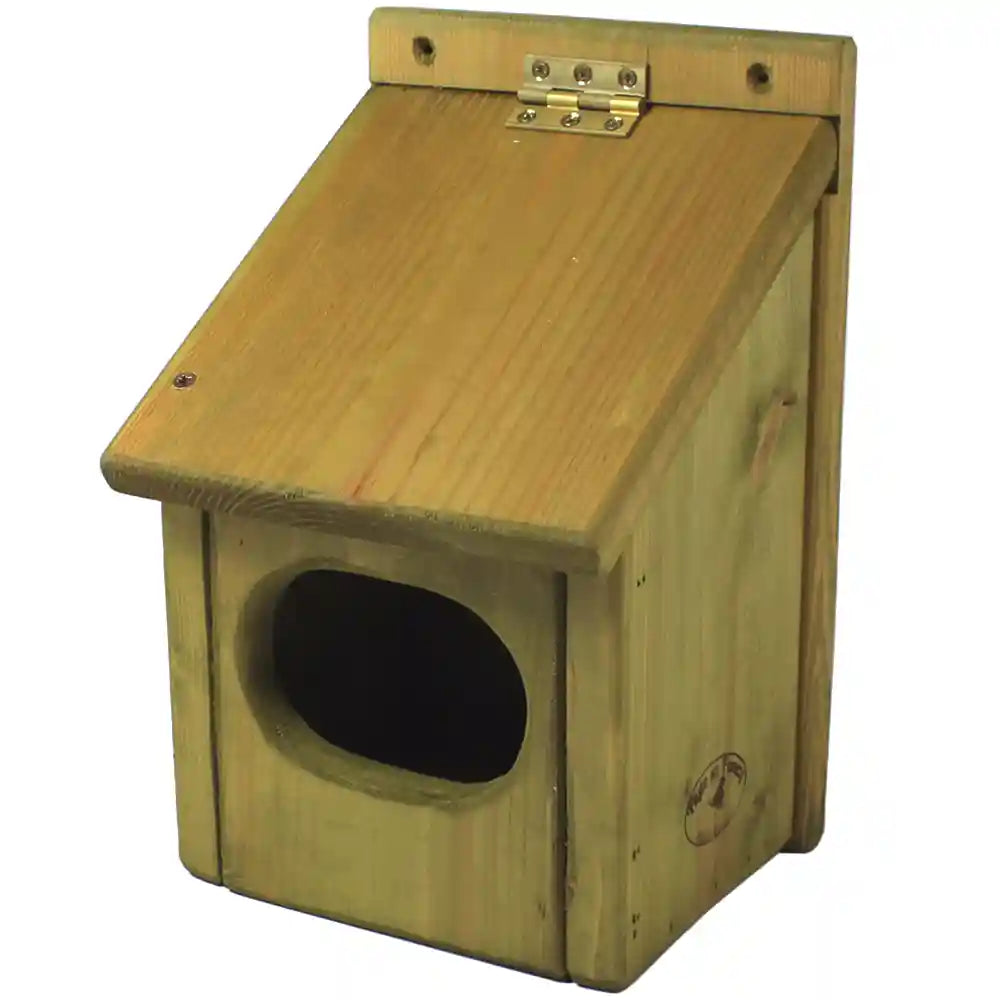 Blackbird Nesting Box in Natural Green