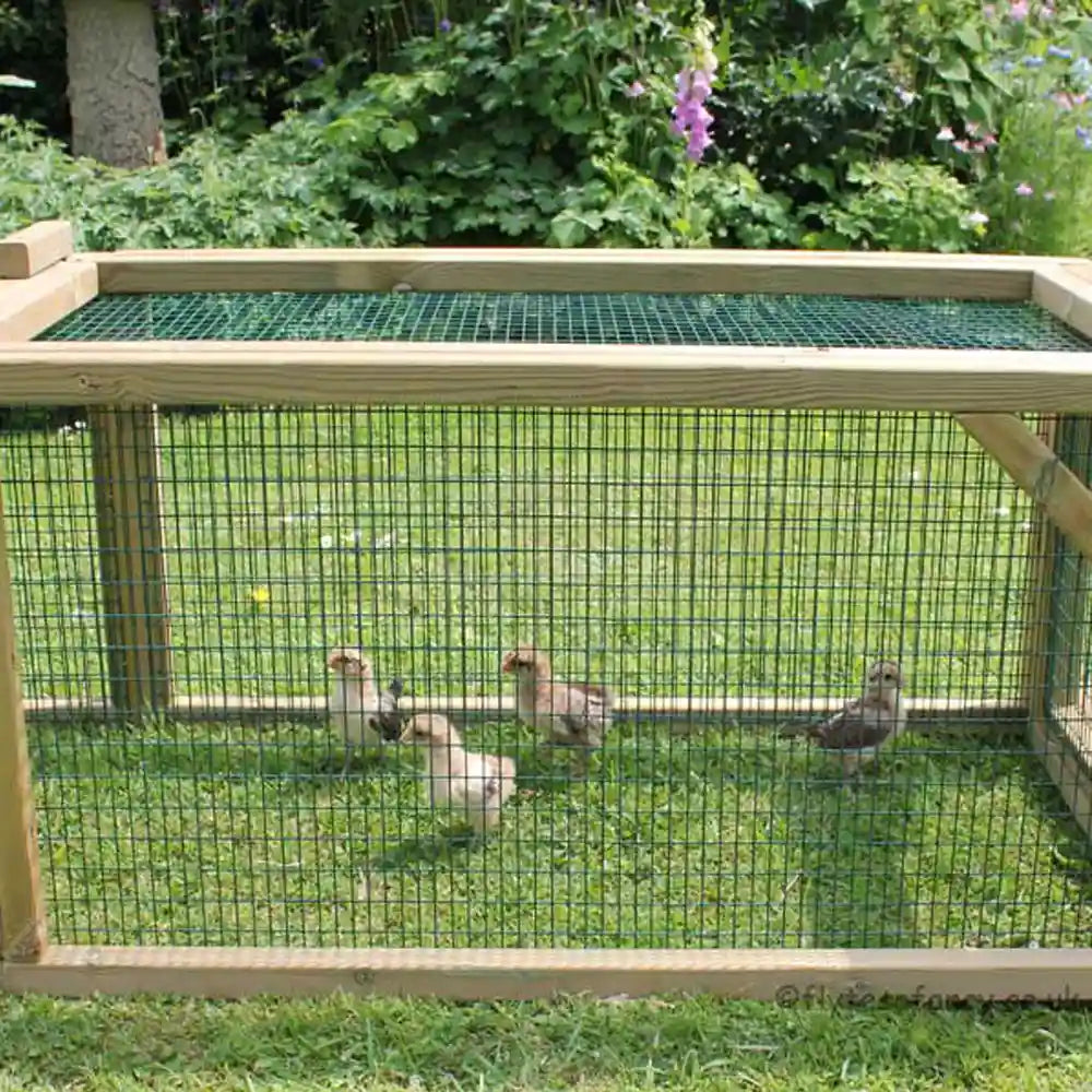 Chicks in the Broody Coop Run