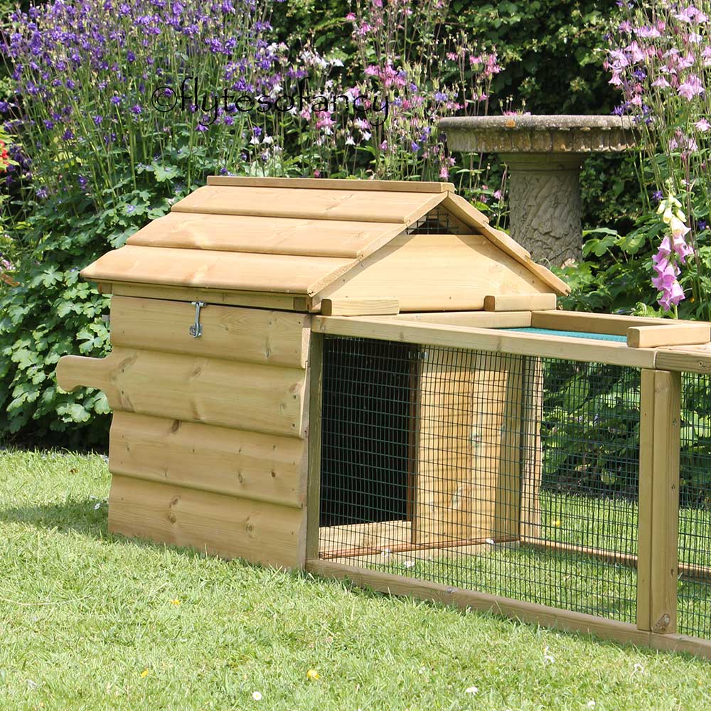 Broody Chicken Coop Pop-hole Open