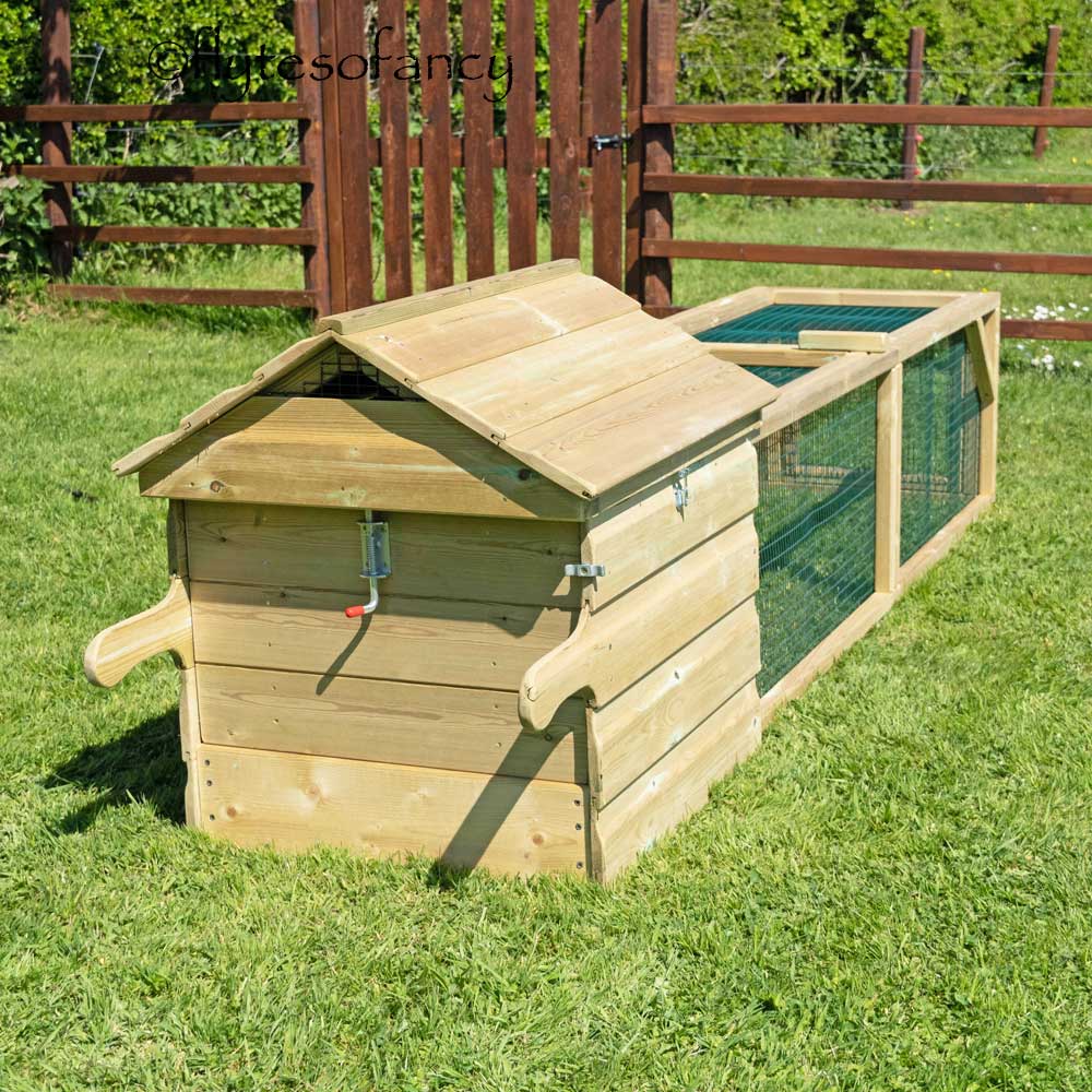 Rear access door Broody Chicken Coop