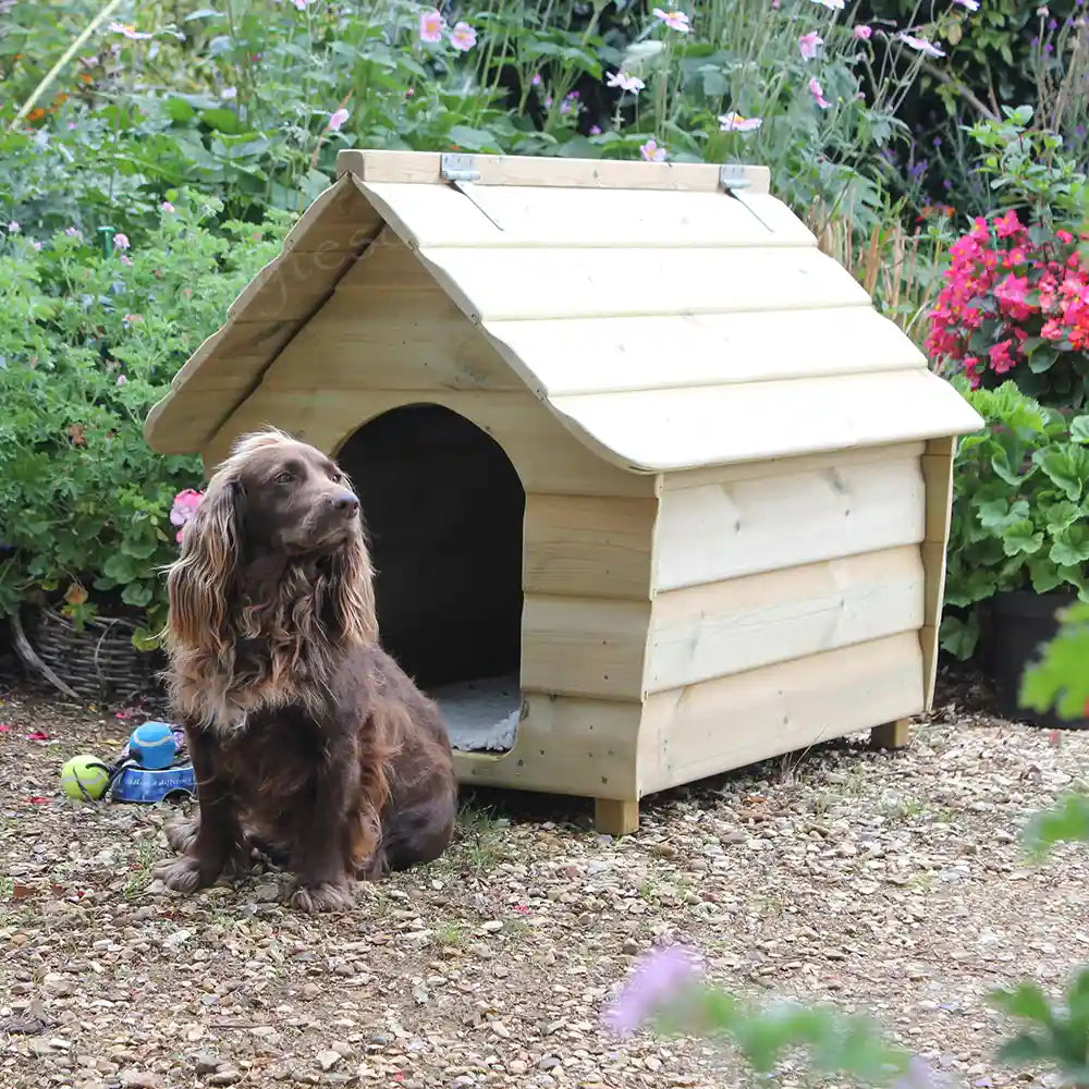 Medium-size Buckland Dog Kennel modelled by Fly
