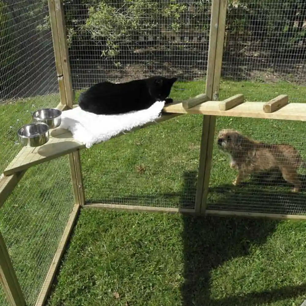 Inside view of Outdoor Cat Play Pen 9ft x 9ft