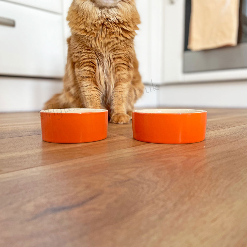 Small 150ml Ceramic Pet Feeding Bowl