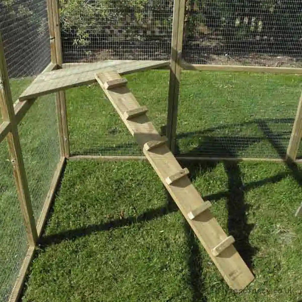 Corner shelf with ladder for cat run