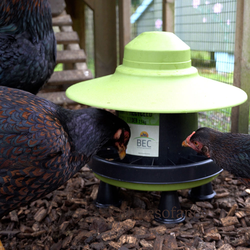 BEC Recycled Plastic Ascot Chicken Feeder, 2.5kg