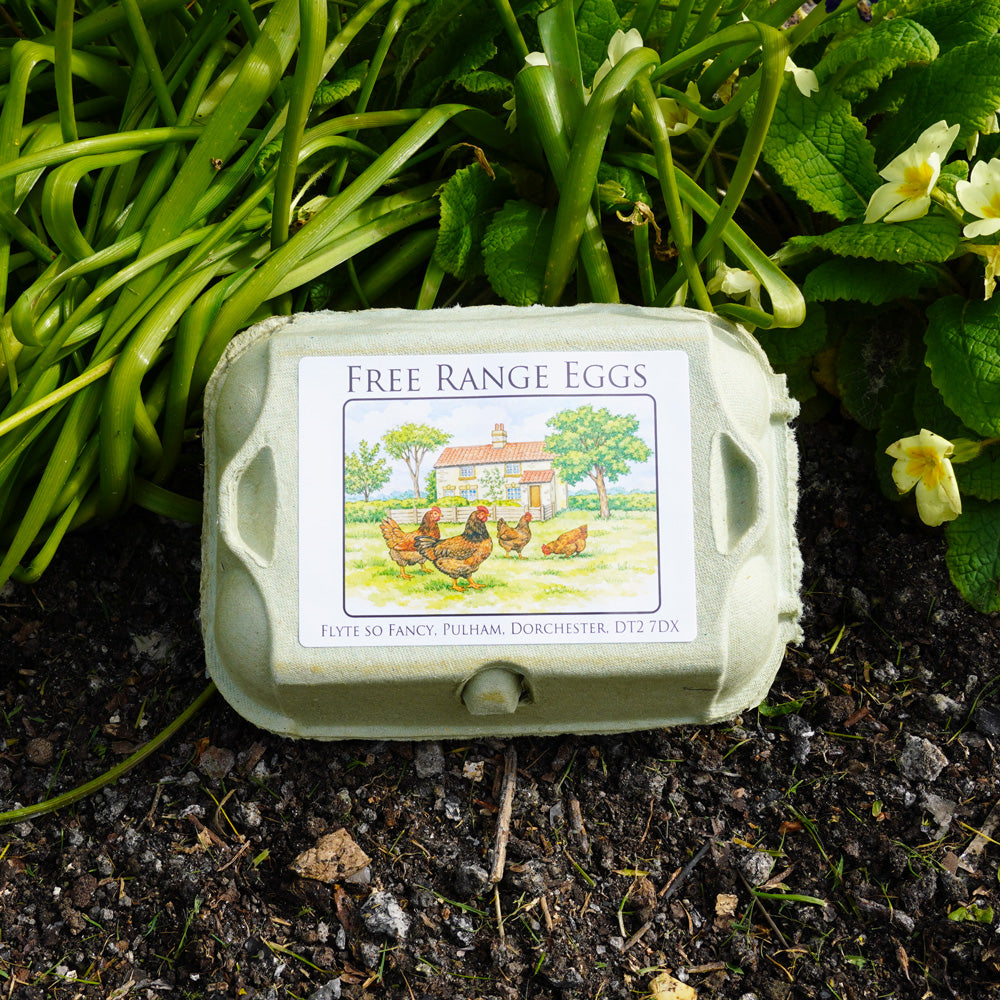 Coloured Egg Box Labels - Cottage & Hens