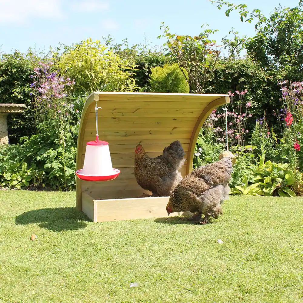 Curved Chicken Dustbath with Brahma Hens