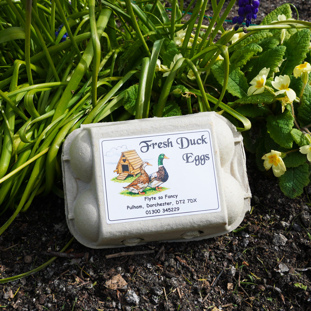 Coloured Egg Box Labels - Fresh Duck Eggs