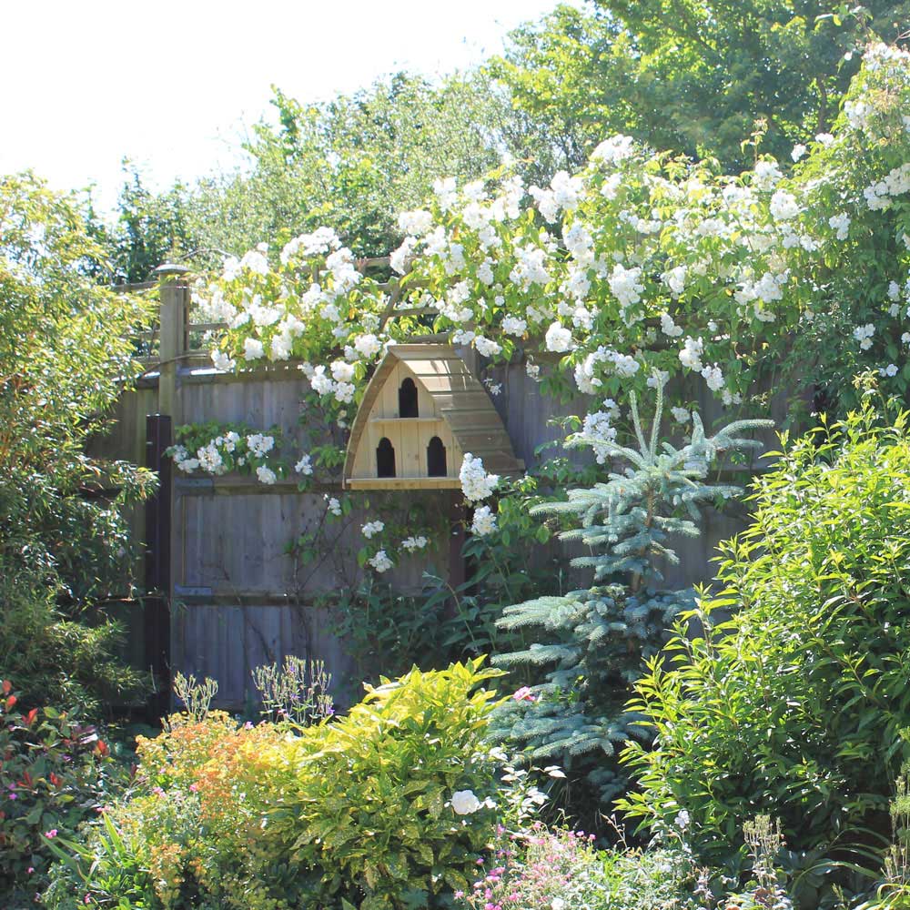 Durdle Door Dovecote - 3-Bay