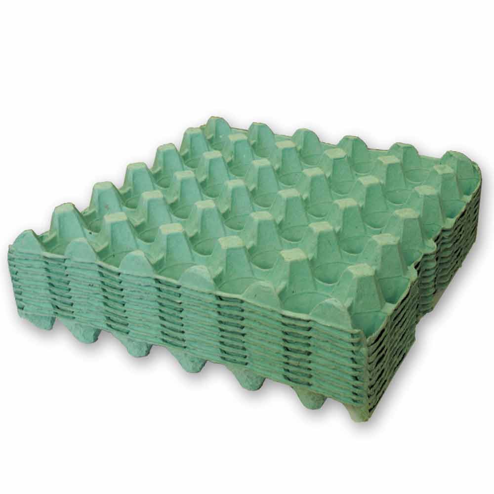 Green Egg Trays, pack of 10