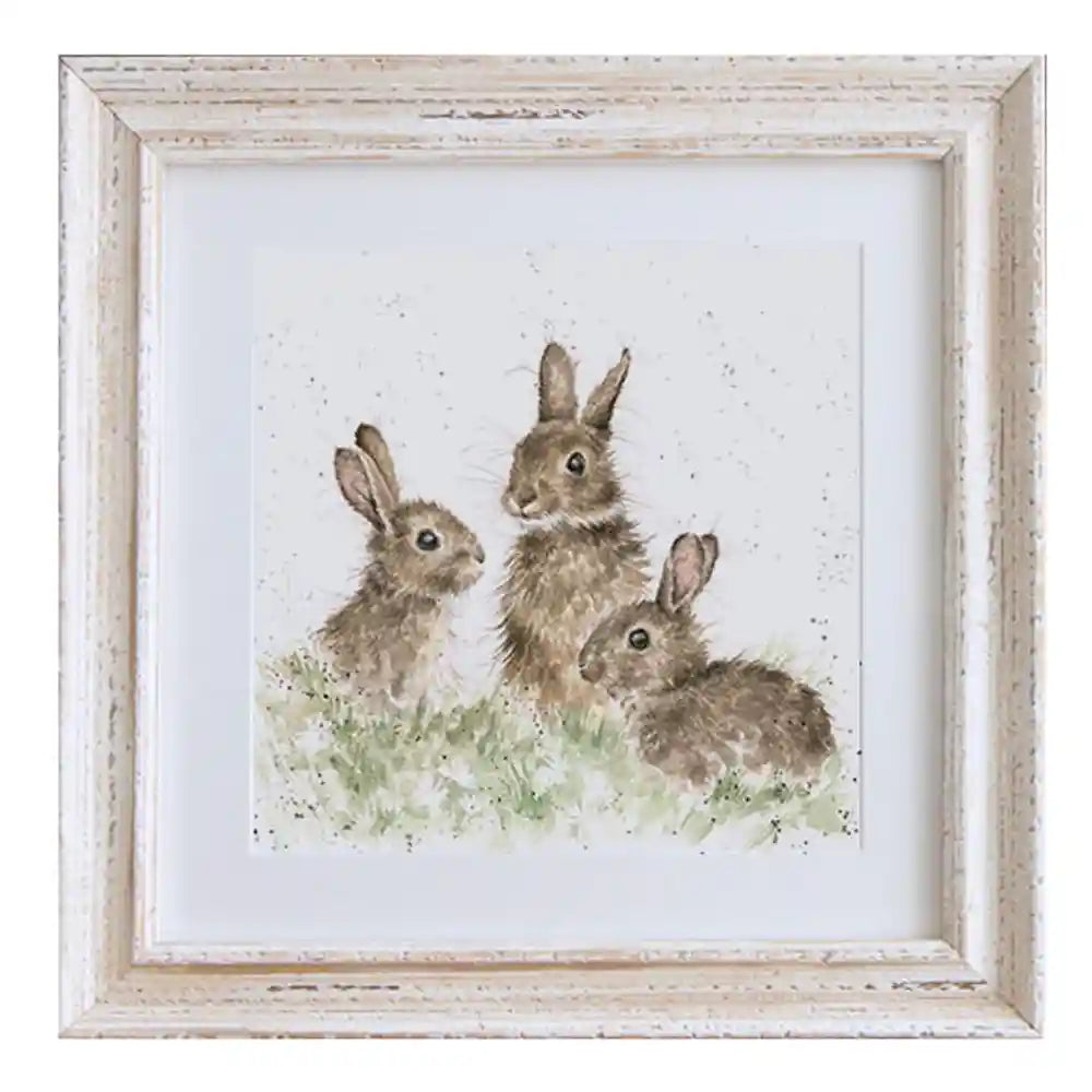 Born Free Baby Rabbit Framed Print