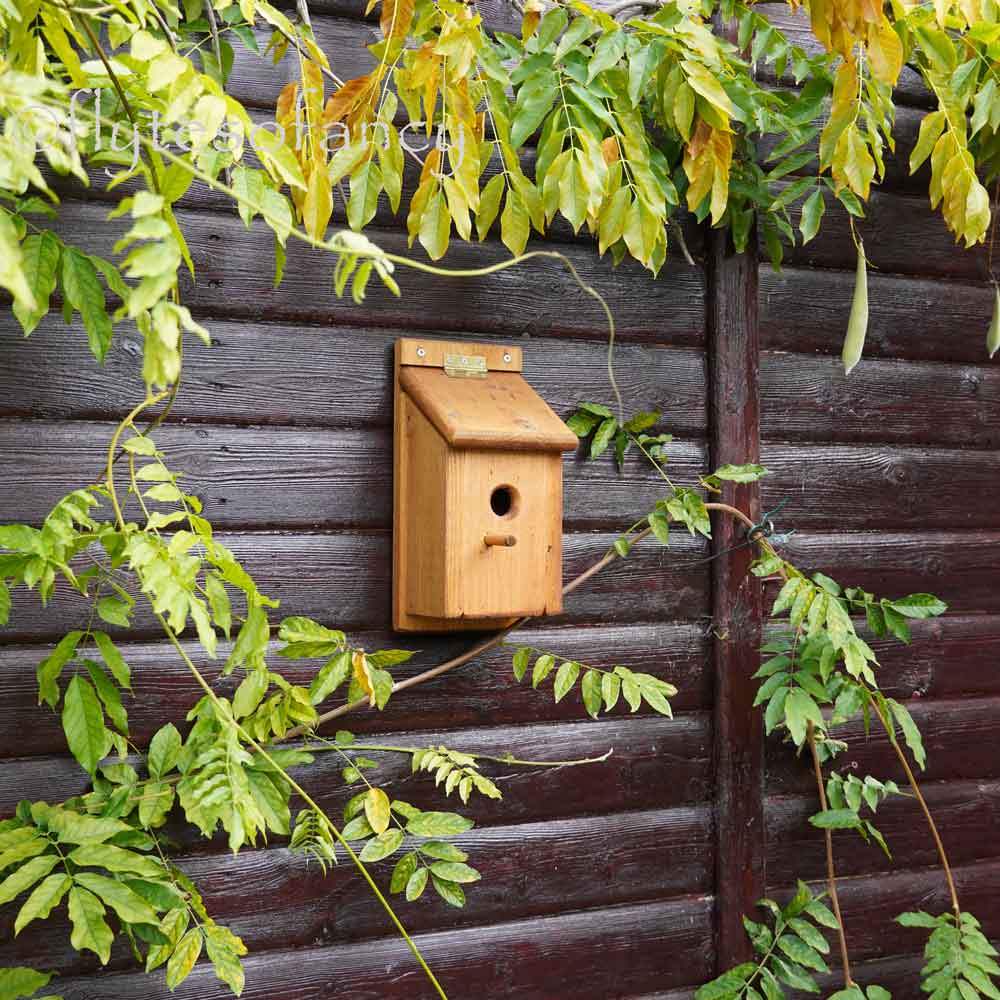 Flyte Garden Bird Nest Box, 28mm