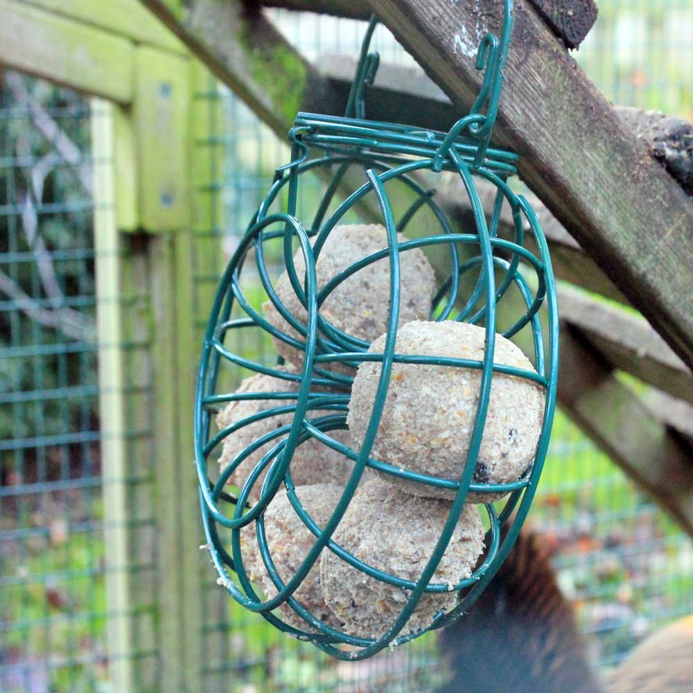 Metal Pecking Ball Feeder Ring