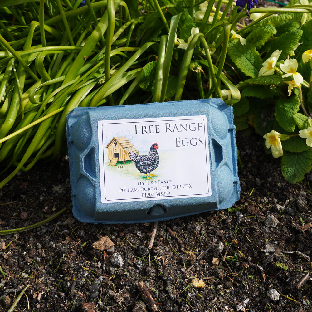 Coloured Egg Box Labels - Henhouse & Hen