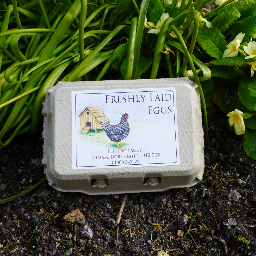 Coloured Egg Box Labels - Henhouse & Hen