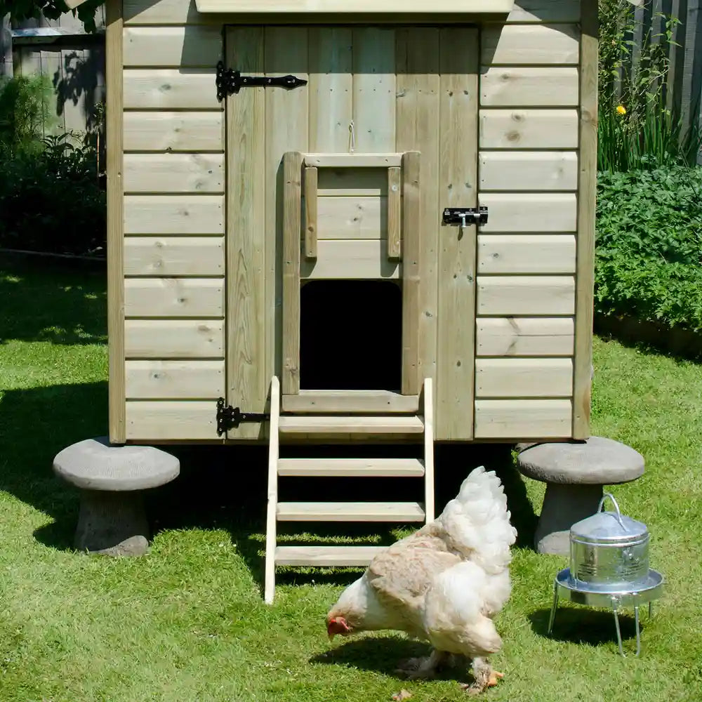 Pop-hole and steps of Granary 15 Hen House