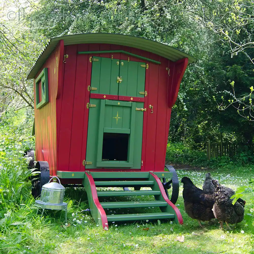 Gypsy Daydream Hen House - Peter Rabbit