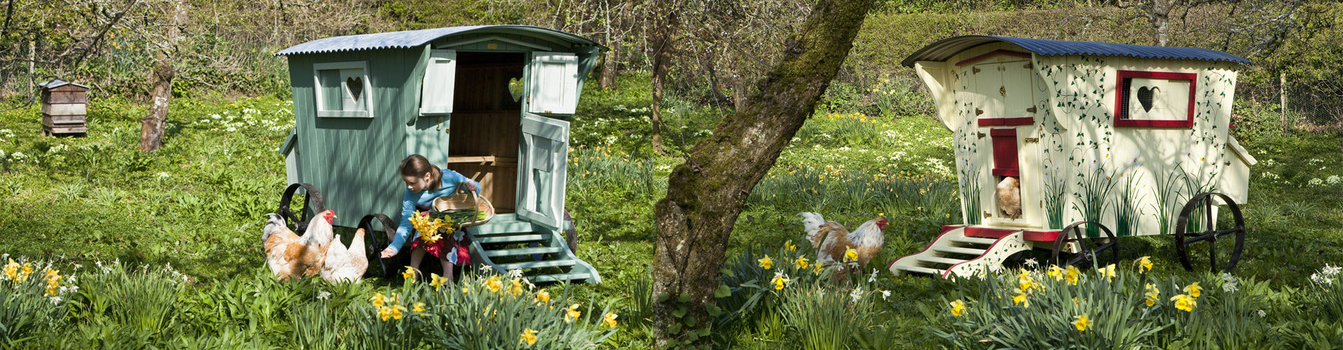 Gypsy Henhouse Flyte so Fancy