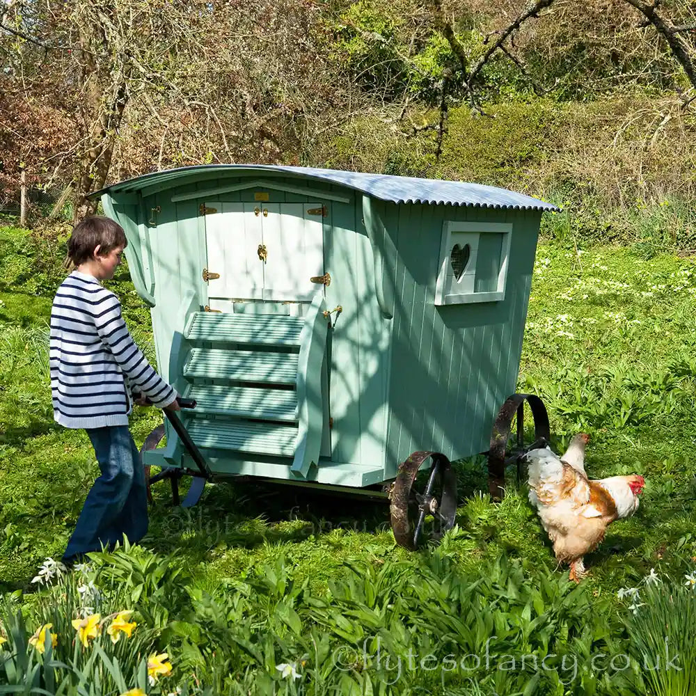 Gypsy Willow Hen House by Flyte so Fancy - mobility