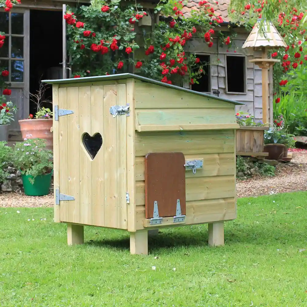 Handy 4 Hen House surrounded by roses