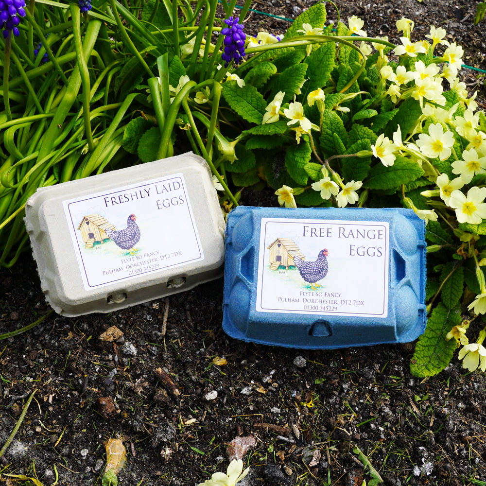 Coloured Egg Box Labels - Henhouse & Hen