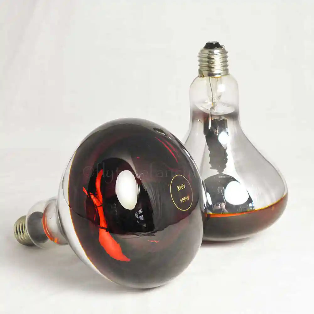 250 watt online red heat bulb