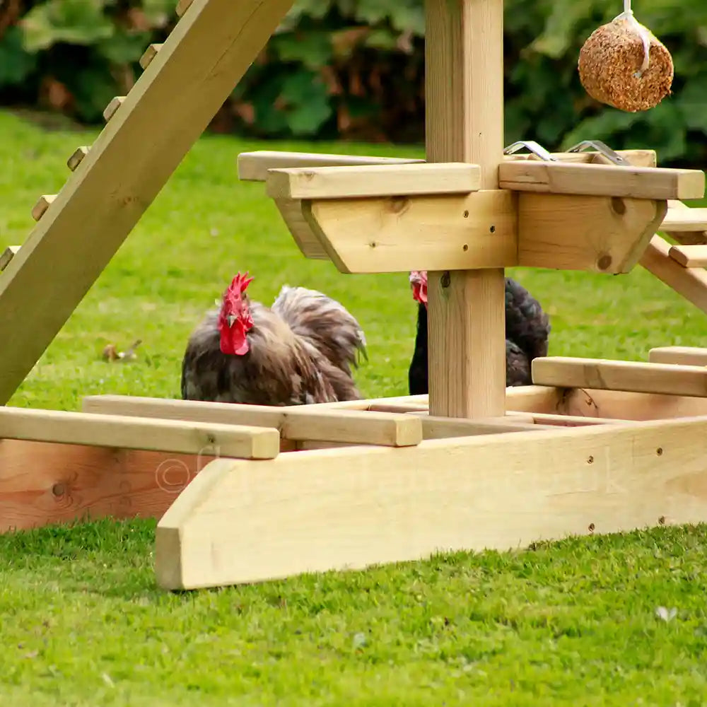 Close up of Chicken Jungle Gym