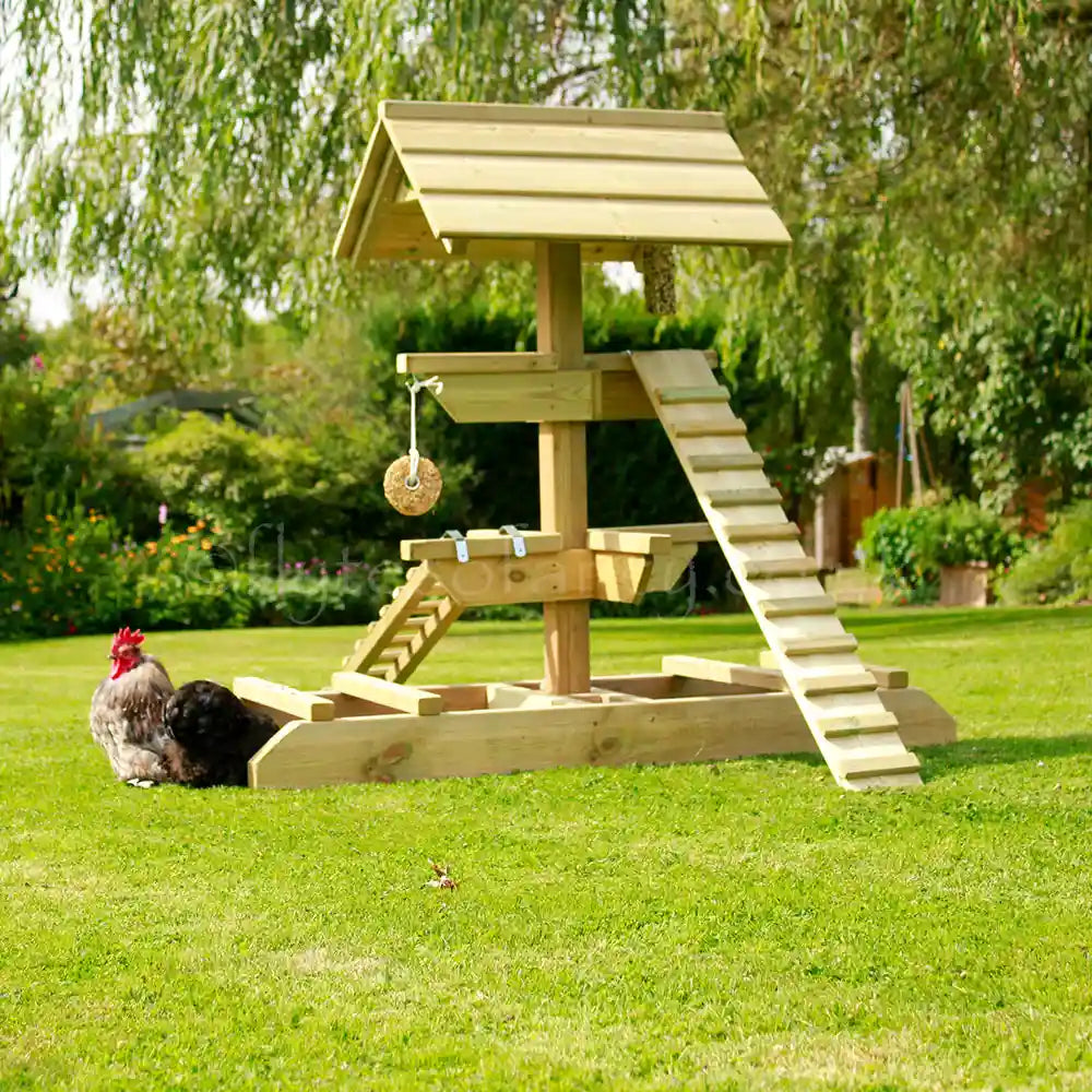 Jungle Gym on a green lawn