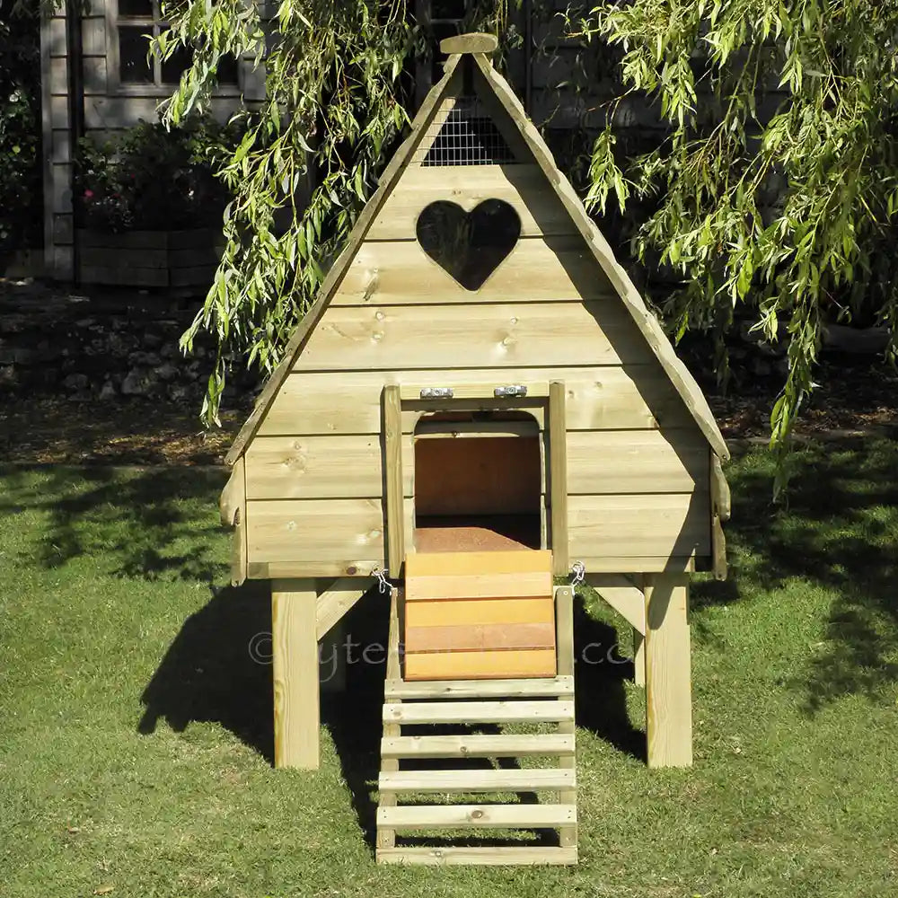 Front of Long-Legged Hobby Henhouse with heart window