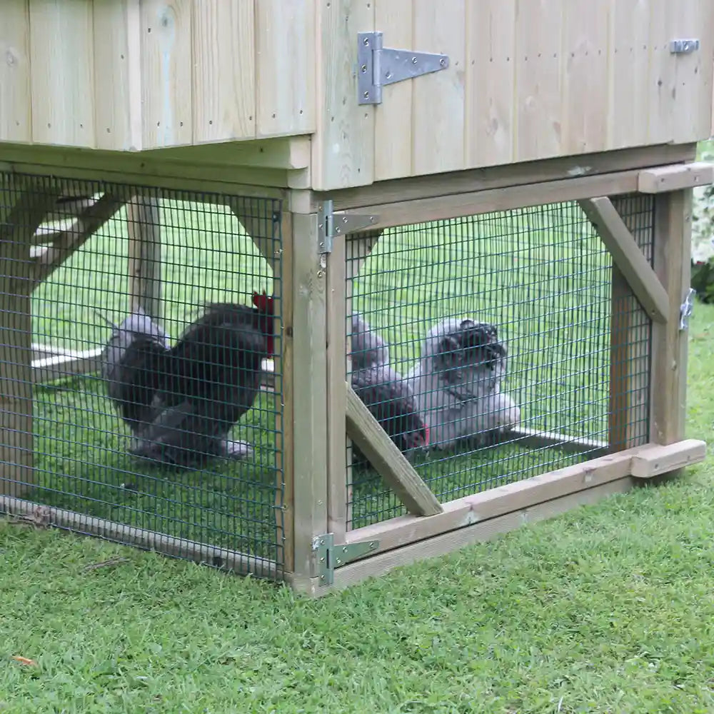 Under house space of chicken run