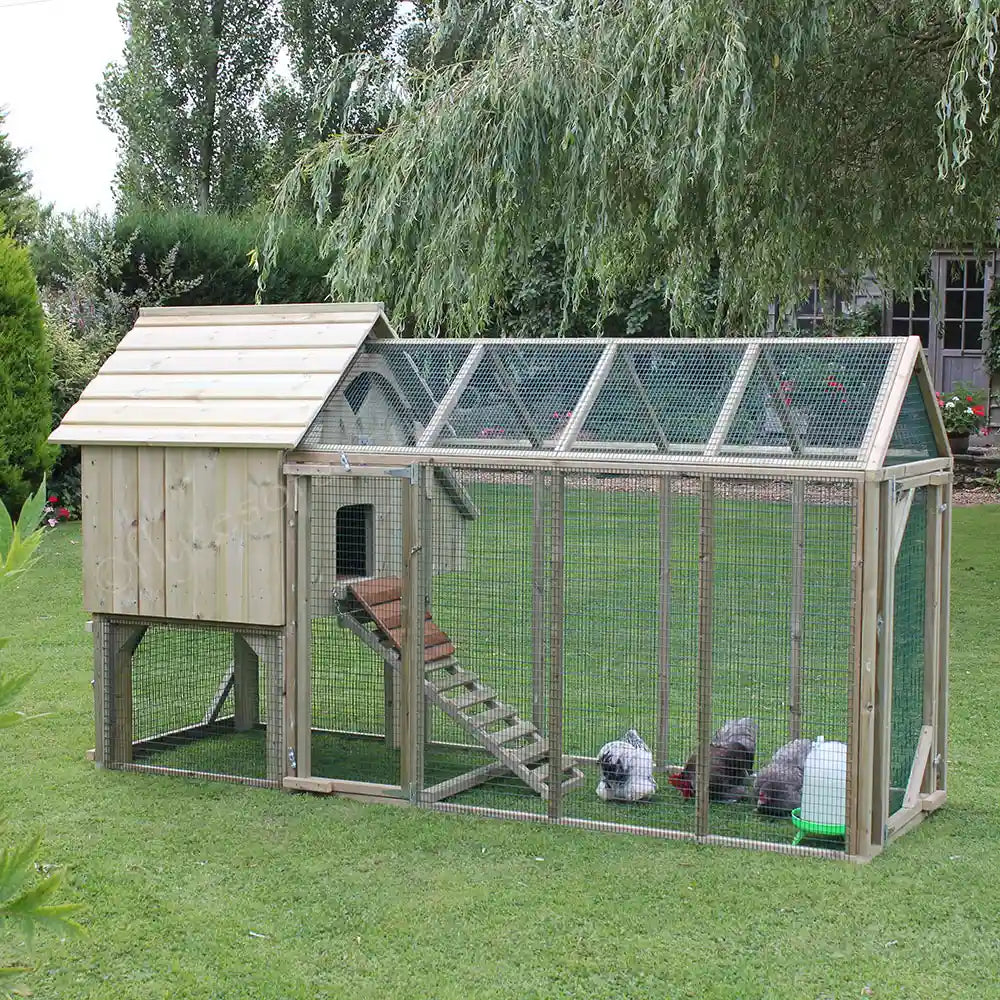 Long Legged Maggie's Six Hen House & 6ft Run