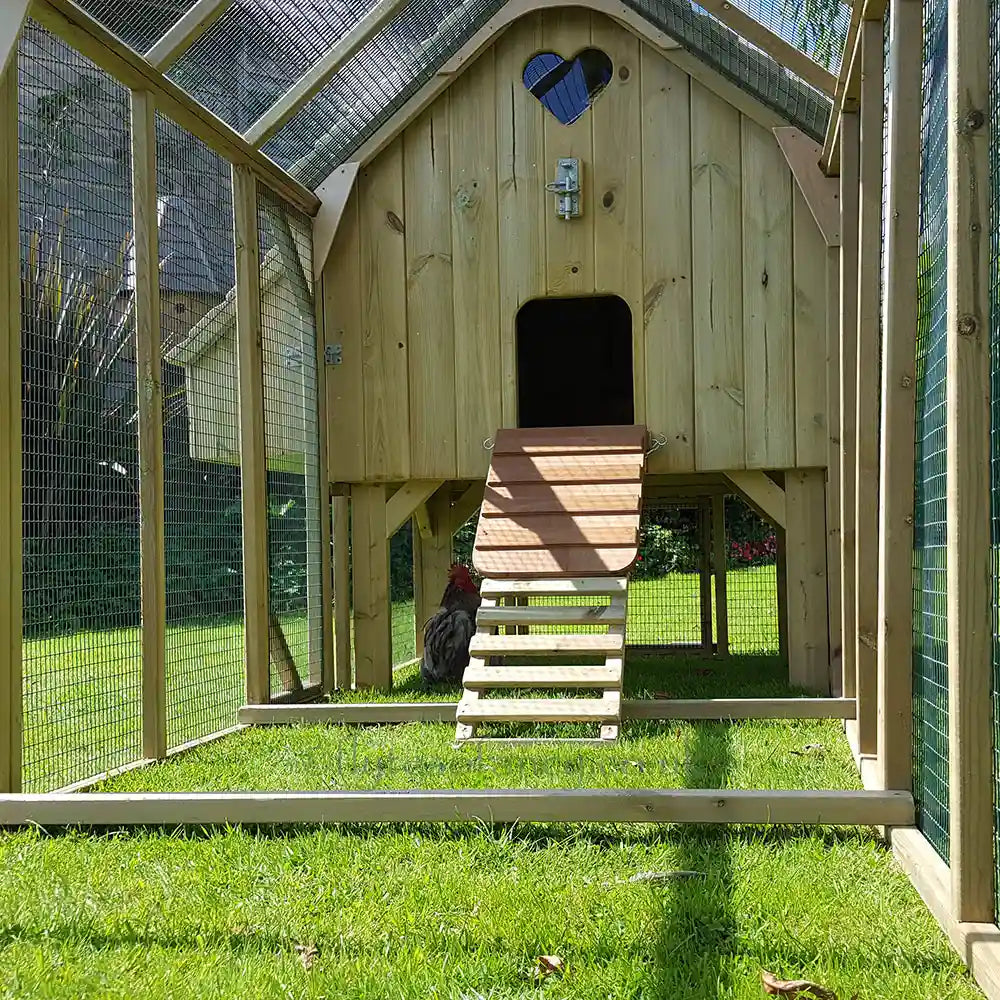 Inside 9ft Run for Long-Legged Maggie's 12 Hen House