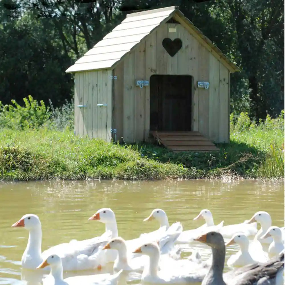 Large Classic Duck House beside duck pond