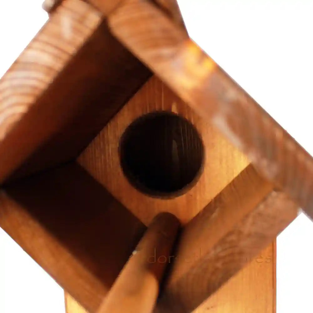 Opening for Flyte Little Owl Nesting Box