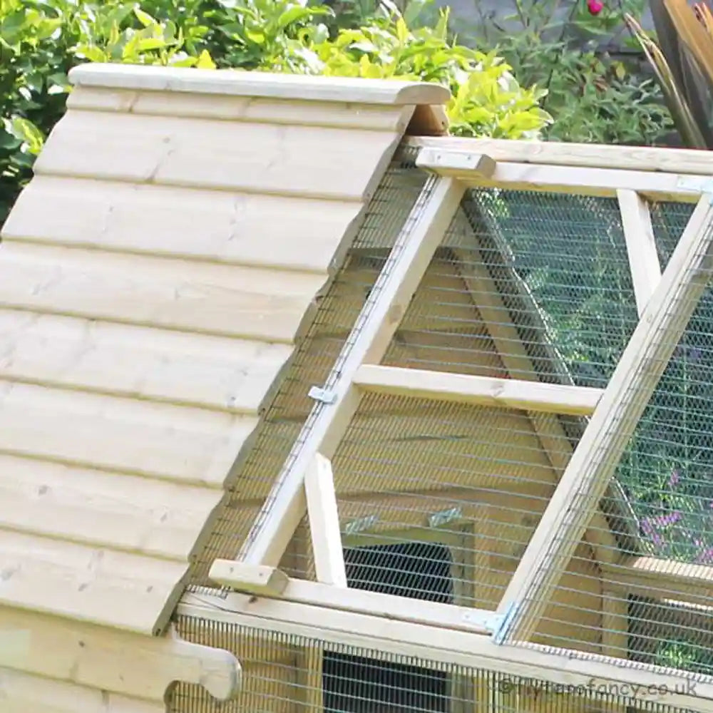 Close-up of Long Legged Hobby Henhouse with 6tf Run