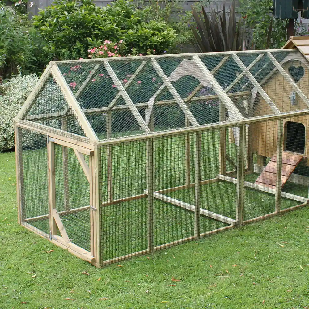 Run for the Maggie's Dozen Hen House, 9ft