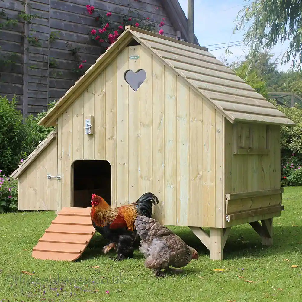 The Maggie's 24 Hen House, front, with Brahmas