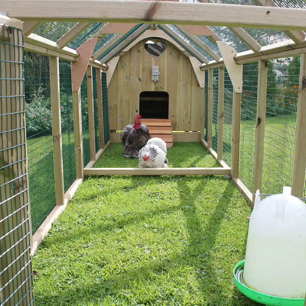 Inside the Maggie's Six Hen House 9ft Run