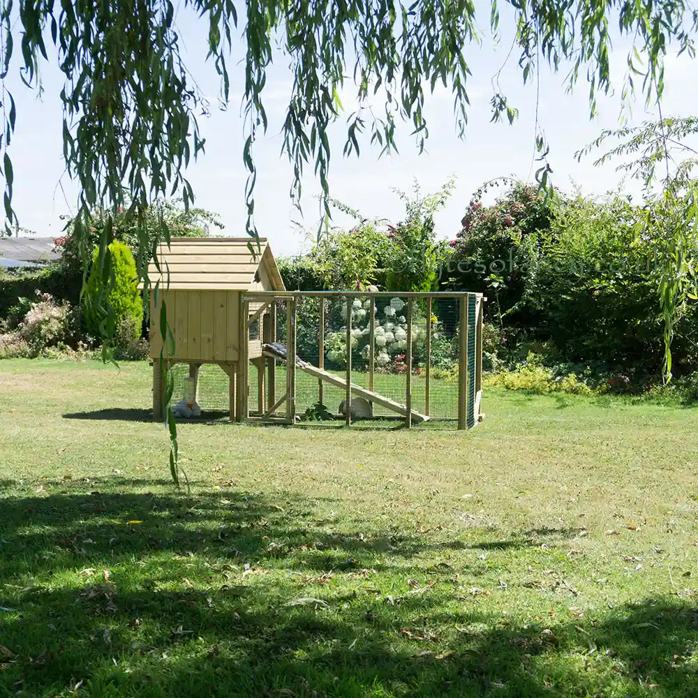 Millys Rabbit House in the garden