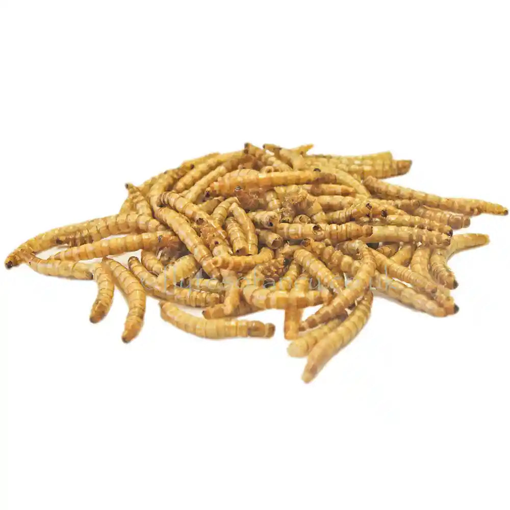 Natures Grub Dried Mealworms for Birds