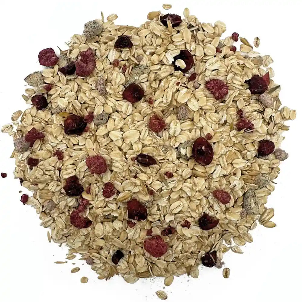 Natures Grub Afternoon Oats for Chickens, 600g